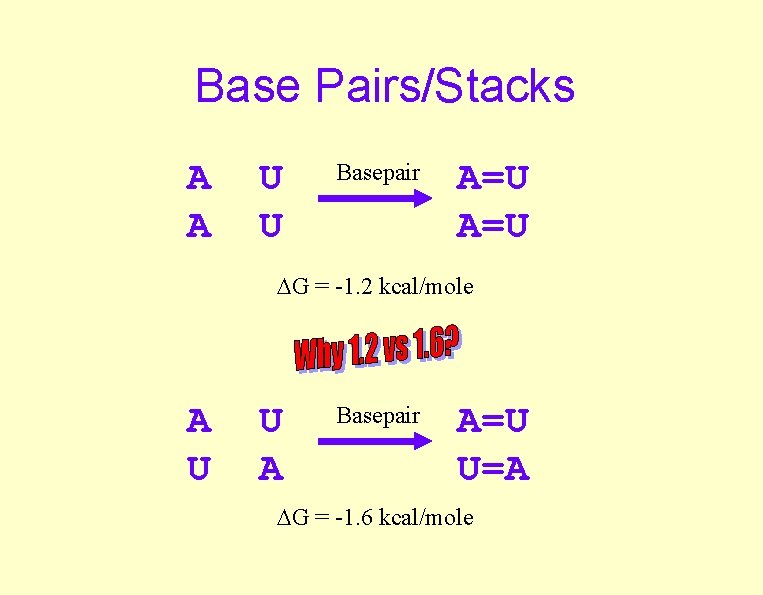 Base Pairs/Stacks A A U U Basepair A=U G = -1. 2 kcal/mole A