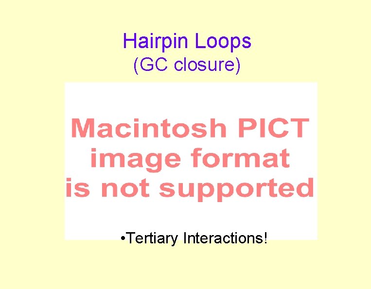 Hairpin Loops (GC closure) • Tertiary Interactions! Hairpin Loops (GC closure) • Tertiary Interactions!