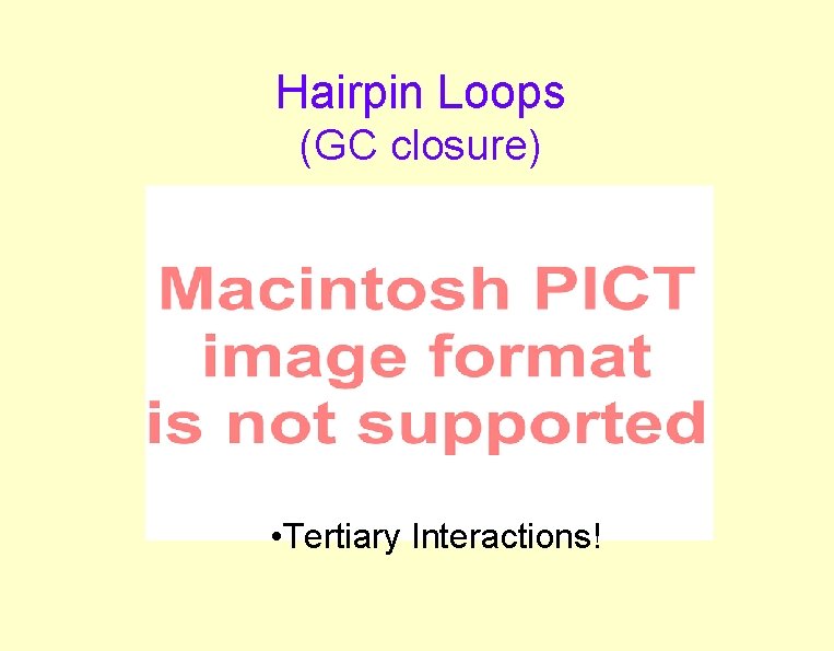 Hairpin Loops (GC closure) • Tertiary Interactions! 