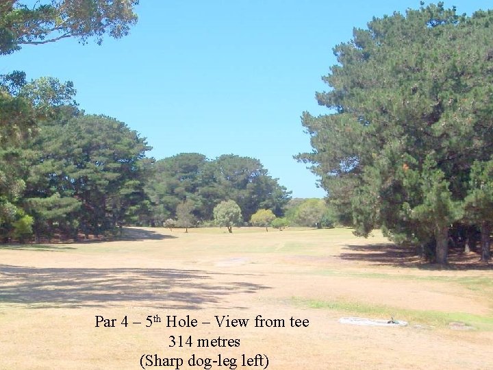 Par 4 – 5 th Hole – View from tee 314 metres (Sharp dog-leg