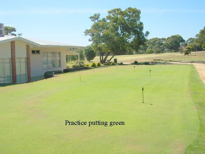 Practice putting green 