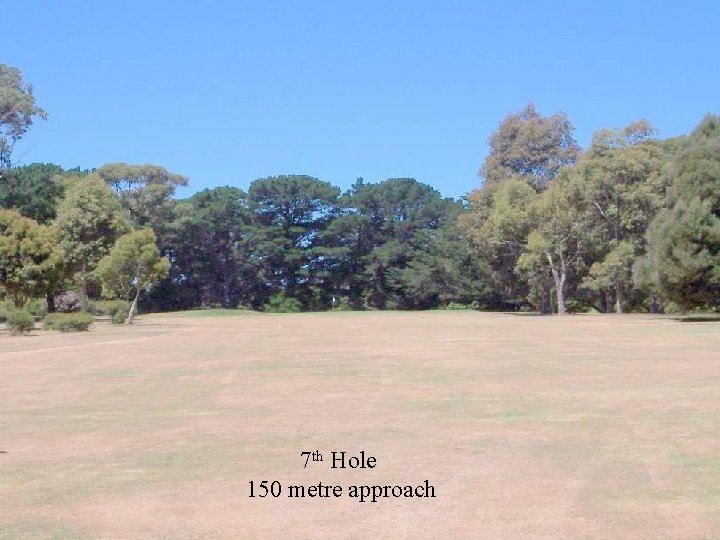 7 th Hole 150 metre approach 