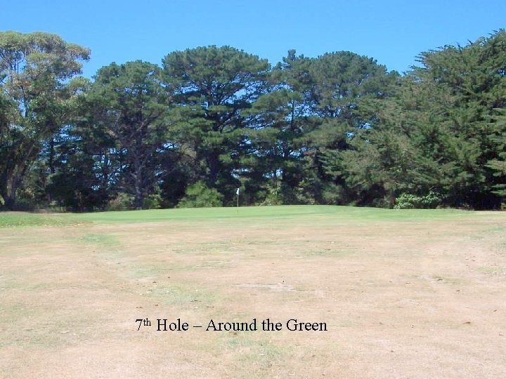 7 th Hole – Around the Green 
