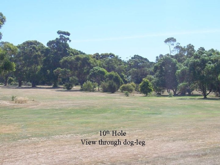 10 th Hole View through dog-leg 