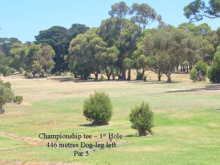 Championship tee – 1 st Hole 446 metres Dog-leg left Par 5 