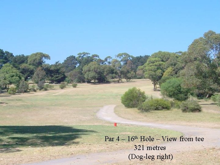 Par 4 – 16 th Hole – View from tee 321 metres (Dog-leg right)