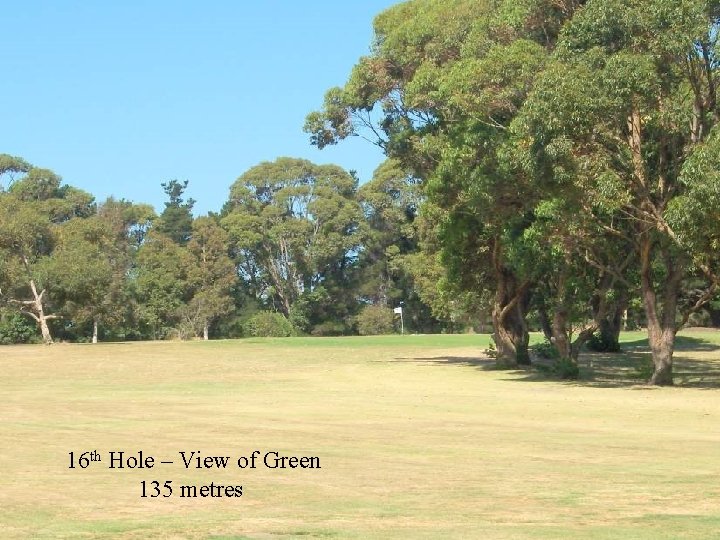 16 th Hole – View of Green 135 metres 