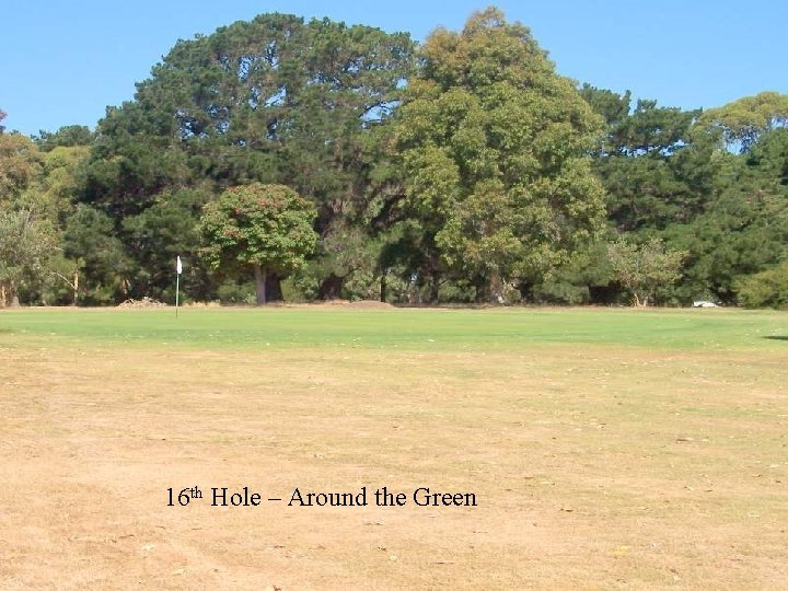 16 th Hole – Around the Green 