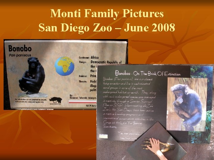 Monti Family Pictures San Diego Zoo – June 2008 