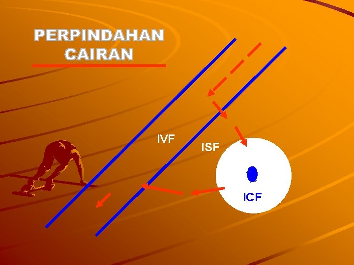 IVF ISF ICF 