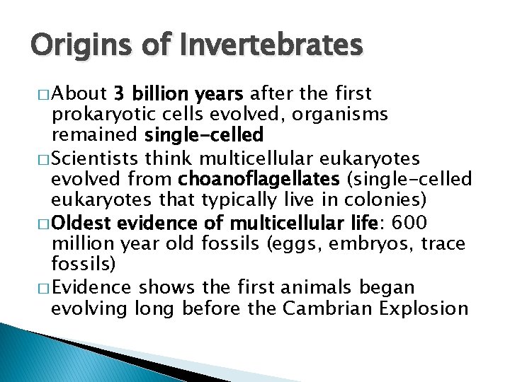 Origins of Invertebrates � About 3 billion years after the first prokaryotic cells evolved,