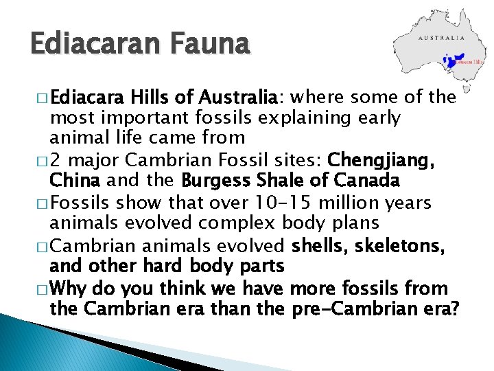 Ediacaran Fauna � Ediacara Hills of Australia: where some of the most important fossils