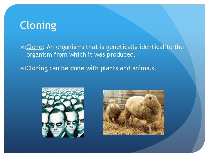 Cloning Clone: An organisms that is genetically identical to the organism from which it