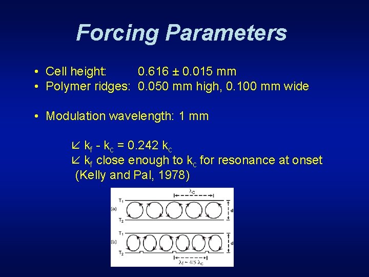 Forcing Parameters • Cell height: 0. 616 ± 0. 015 mm • Polymer ridges: