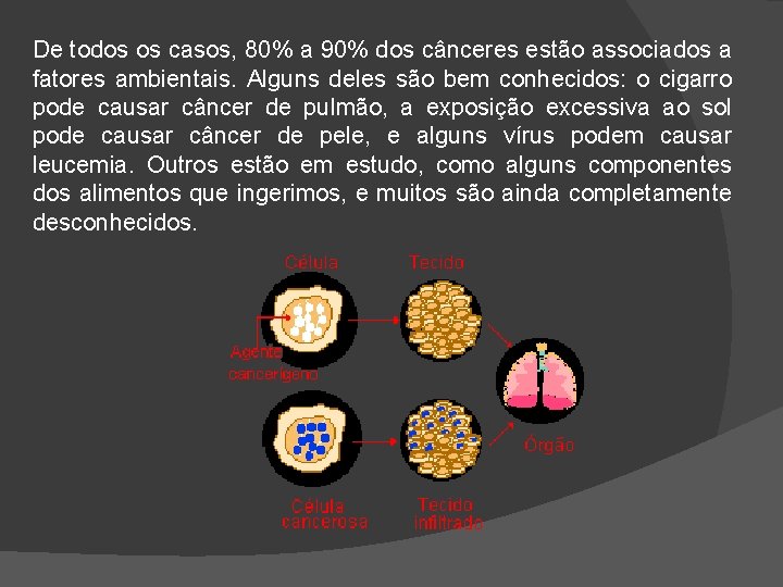 De todos os casos, 80% a 90% dos cânceres estão associados a fatores ambientais.