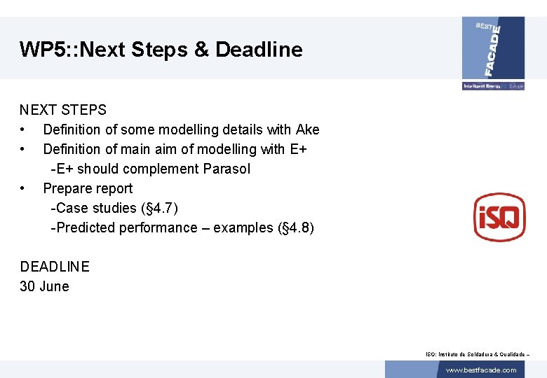 WP 5: : Next Steps & Deadline NEXT STEPS • Definition of some modelling