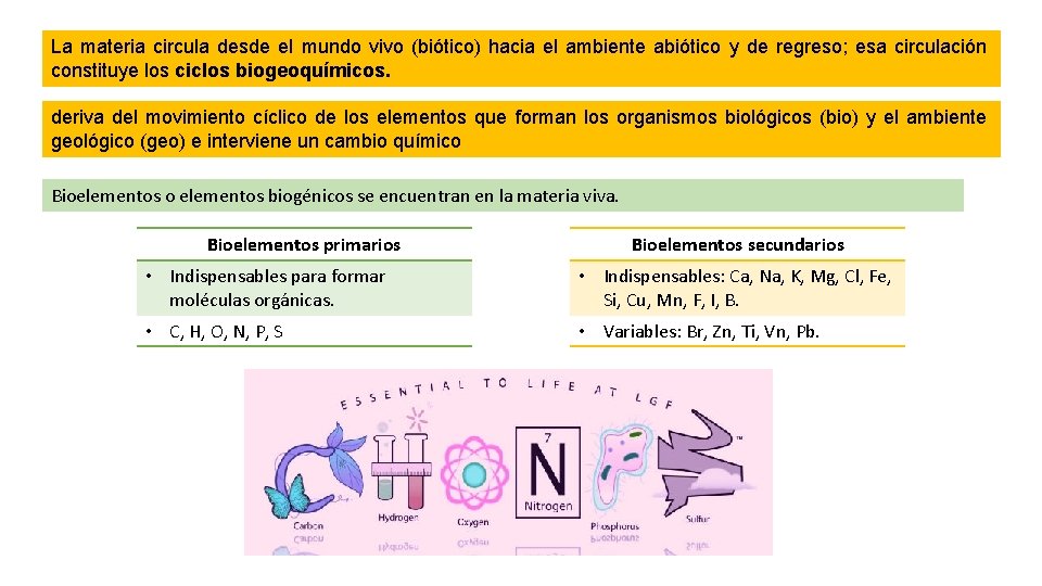 La materia circula desde el mundo vivo (biótico) hacia el ambiente abiótico y de