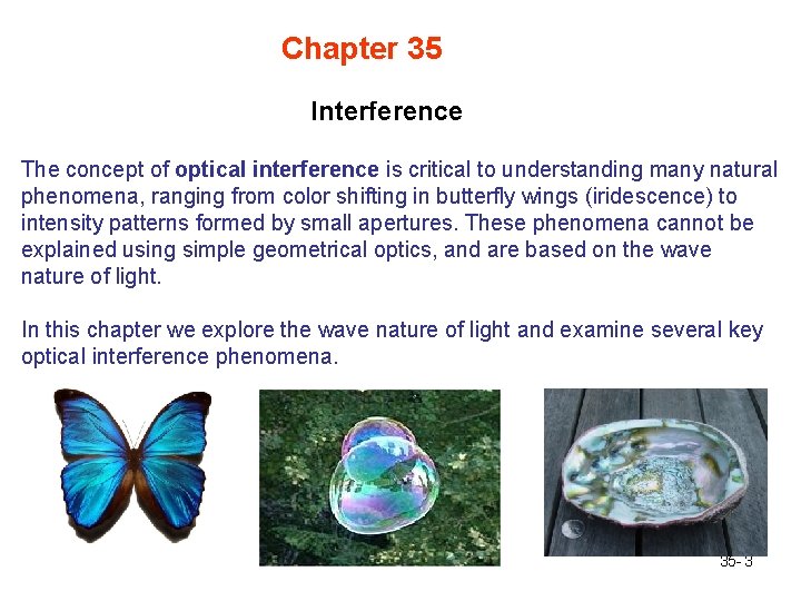 Chapter 35 Interference The concept of optical interference is critical to understanding many natural