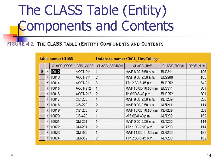 The CLASS Table (Entity) Components and Contents * 14 