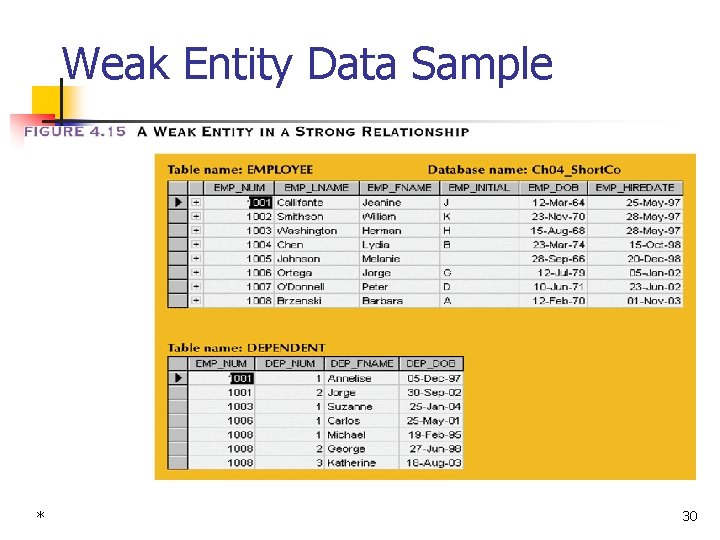 Weak Entity Data Sample * 30 