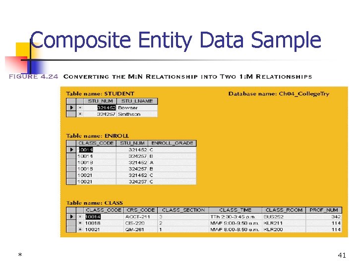 Composite Entity Data Sample * 41 