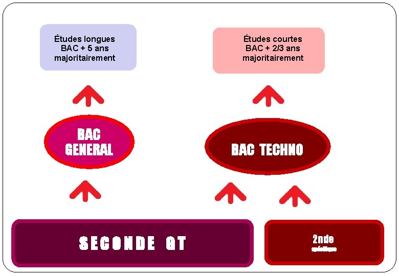 Études longues BAC + 5 ans majoritairement Études courtes BAC + 2/3 ans majoritairement Études longues BAC + 5 ans majoritairement Études courtes BAC + 2/3 ans majoritairement