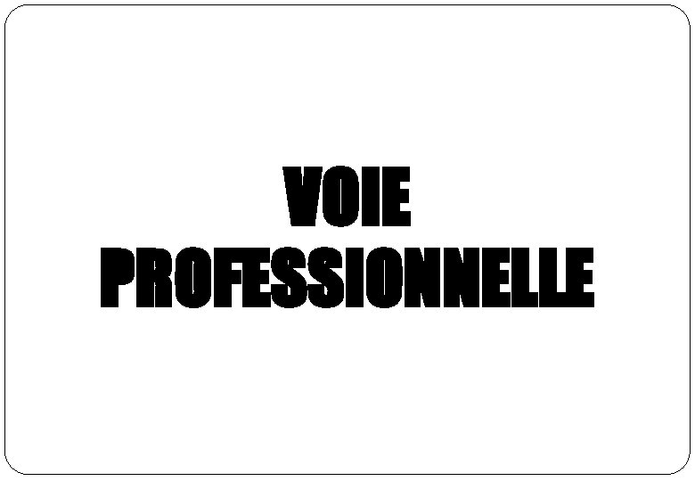 VOIE PROFESSIONNELLE VOIE PROFESSIONNELLE