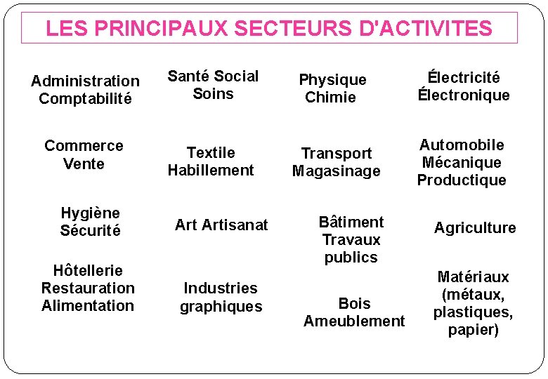 LES PRINCIPAUX SECTEURS D'ACTIVITES Administration Comptabilité Santé Social Soins Physique Chimie Électricité Électronique Commerce LES PRINCIPAUX SECTEURS D'ACTIVITES Administration Comptabilité Santé Social Soins Physique Chimie Électricité Électronique Commerce