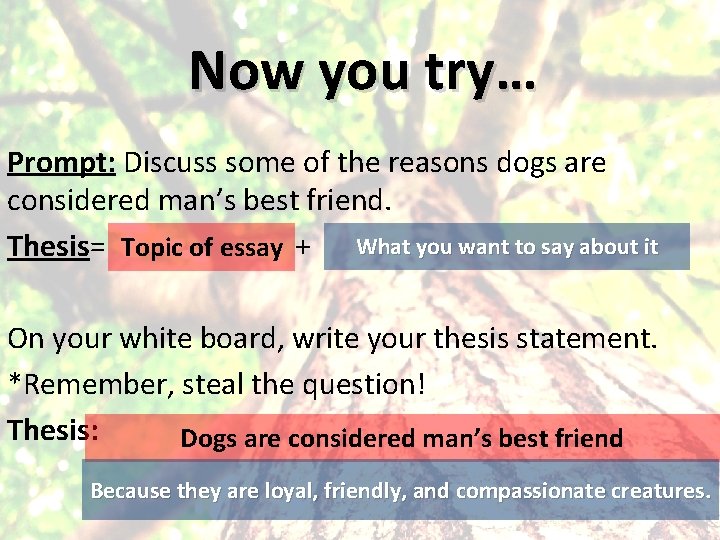 Now you try… Prompt: Discuss some of the reasons dogs are considered man’s best