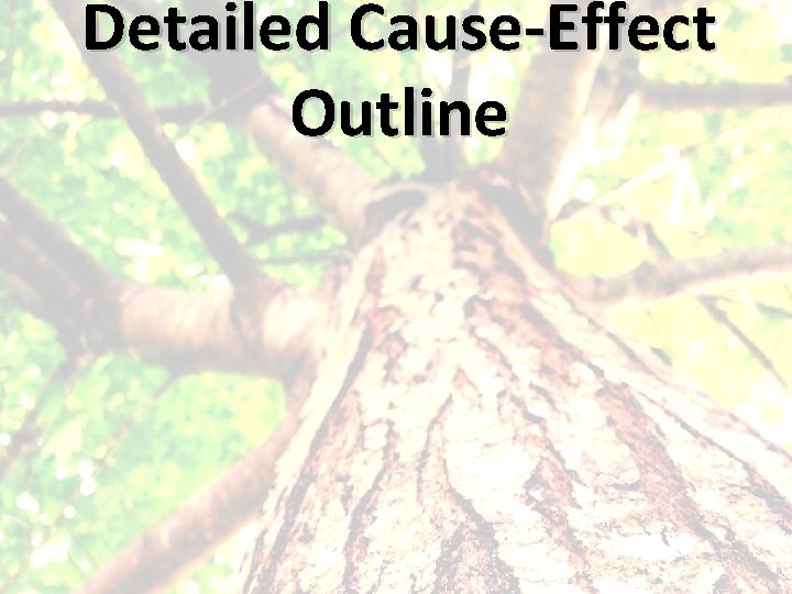 Detailed Cause-Effect Outline 