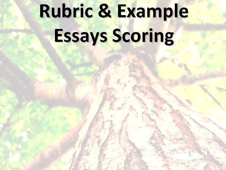 Rubric & Example Essays Scoring 