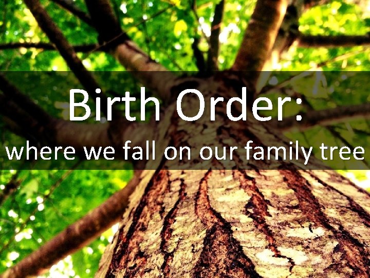 Birth Order: where we fall on our family tree 