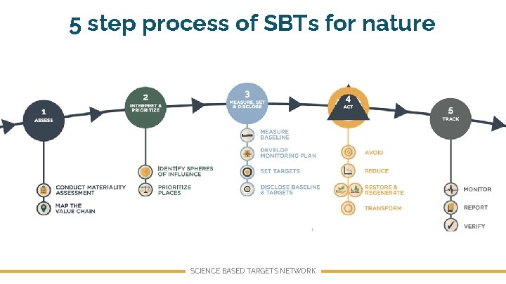 5 step process of SBTs for nature SCIENCE BASED TARGETS NETWORK 