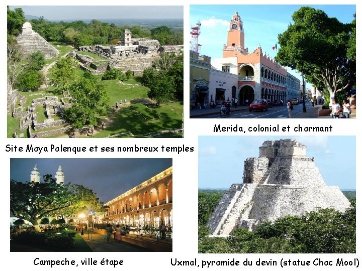 Merida, colonial et charmant Site Maya Palenque et ses nombreux temples Campeche, ville étape