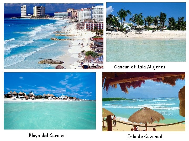 Cancun et Isla Mujeres Playa del Carmen Isla de Cozumel 