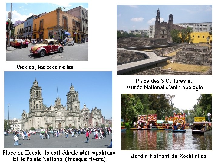 Mexico, les coccinelles Place des 3 Cultures et Musée National d’anthropologie Place du Zocalo,