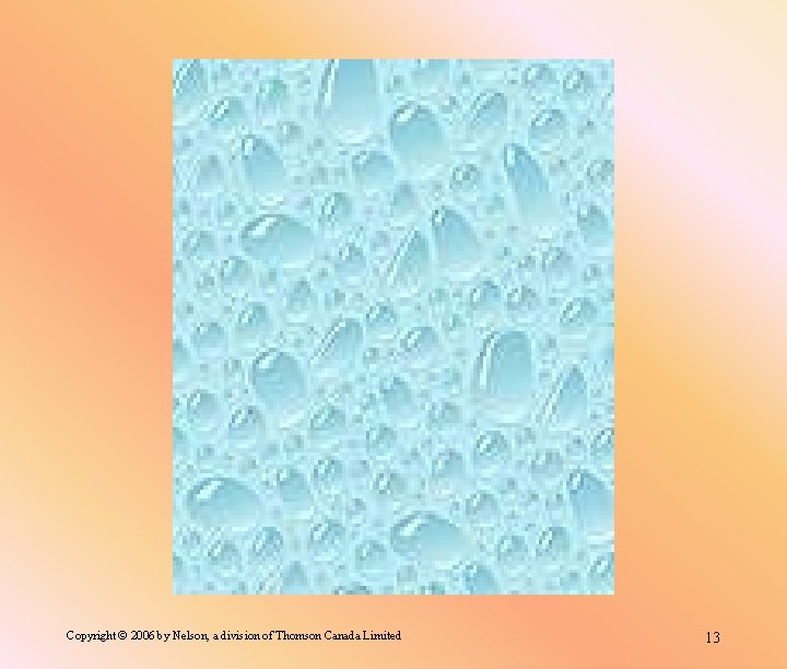 Copyright © 2006 by Nelson, a division of Thomson Canada Limited 13 