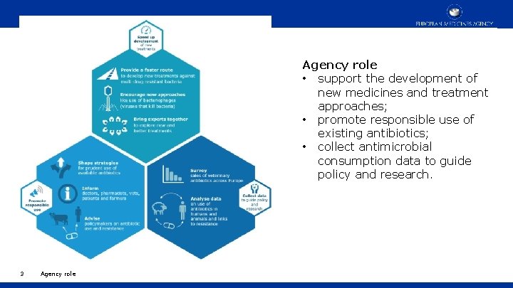 Agency role • support the development of new medicines and treatment approaches; • promote