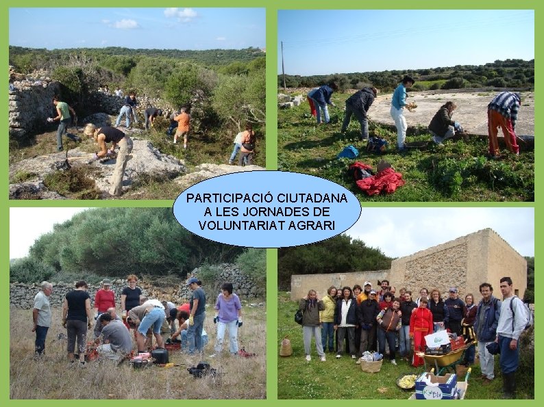 PARTICIPACIÓ CIUTADANA A LES JORNADES DE VOLUNTARIAT AGRARI 