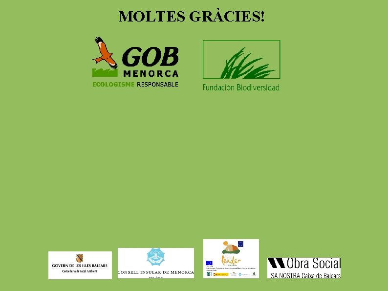 MOLTES GRÀCIES! 