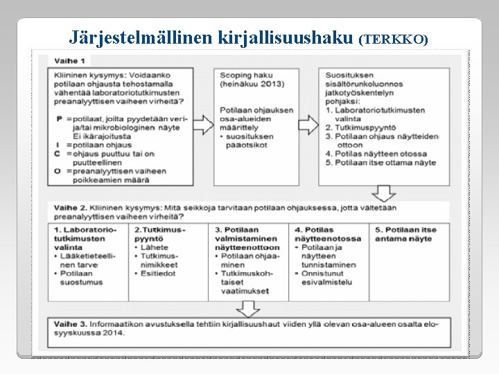 Järjestelmällinen kirjallisuushaku (TERKKO) 