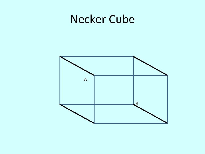Necker Cube A B 