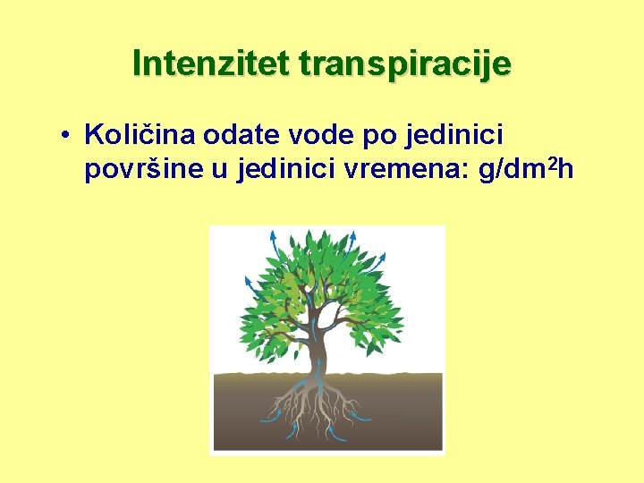 Intenzitet transpiracije • Količina odate vode po jedinici površine u jedinici vremena: g/dm 2