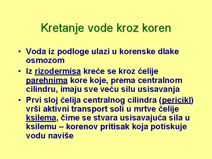 Kretanje vode kroz koren • Voda iz podloge ulazi u korenske dlake osmozom •