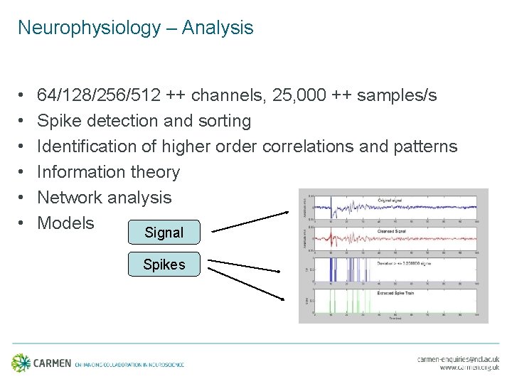 Neurophysiology – Analysis • • • 64/128/256/512 ++ channels, 25, 000 ++ samples/s Spike