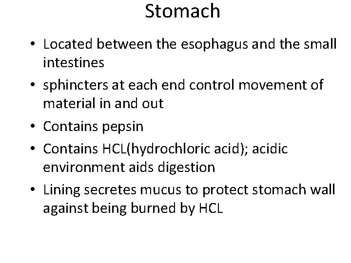 Stomach • Located between the esophagus and the small intestines • sphincters at each