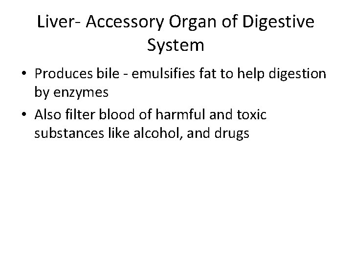 Liver- Accessory Organ of Digestive System • Produces bile - emulsifies fat to help