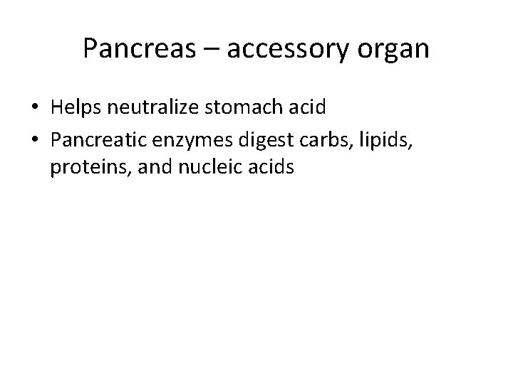 Pancreas – accessory organ • Helps neutralize stomach acid • Pancreatic enzymes digest carbs,