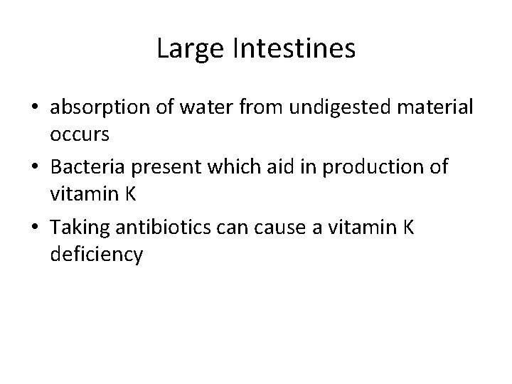 Large Intestines • absorption of water from undigested material occurs • Bacteria present which