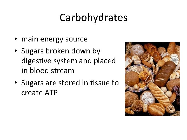 Carbohydrates • main energy source • Sugars broken down by digestive system and placed